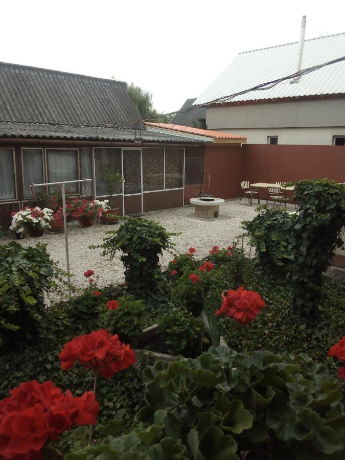 Vadkacsa apartmanház medencével Zamárdi Exterior foto